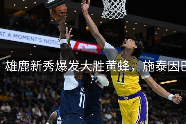 雄鹿新秀爆发大胜黄蜂，施泰因巴赫个人数据惊艳全场